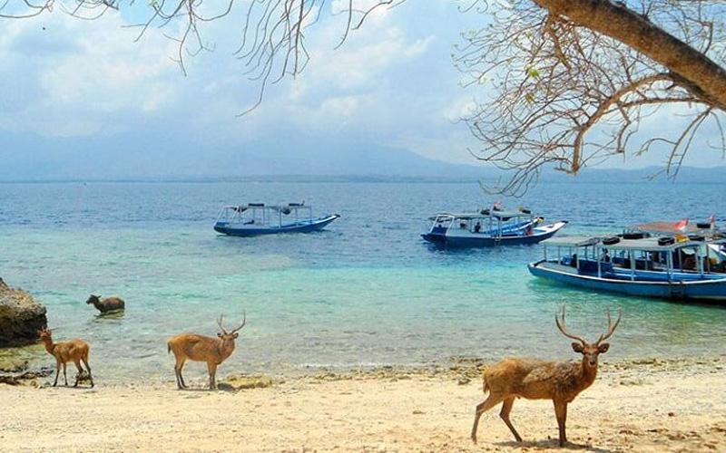 west bali tour