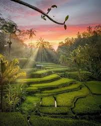 bali travel trip