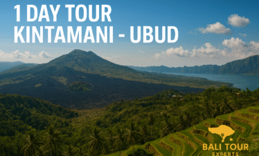 1 day ubud kintamani tour