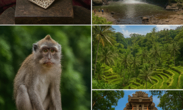 1 day ubud tour